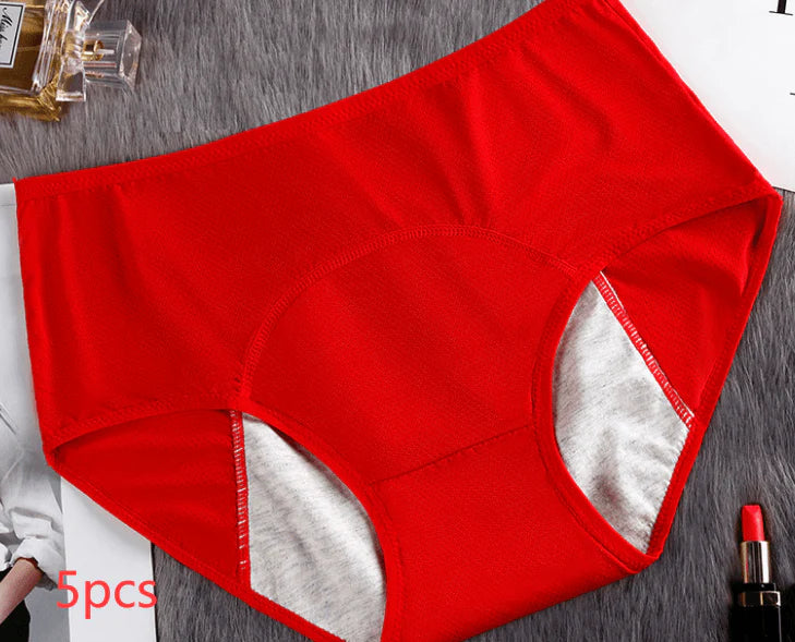 5PCS Menstrual Underwear Women Leak Proof Panties - melvincucci
