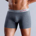 Boxers Cotton Men Underpants Sexy Boxershorts Boy Underwear - melvincucci