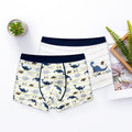Boy's Underwear Boxer Cotton Children's Underwear - melvincucci