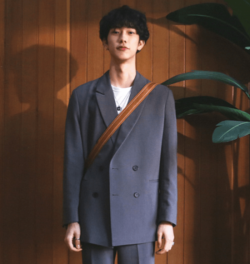 The handsome Korean style suit men's self-cultivation fashion retro casual British style handsome suit double-breasted two-piece suit - melvincucci