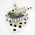 Ladies Scarf Wrapped And Satin Silk - melvincucci