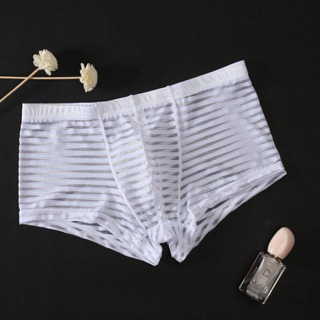 Men Boxer Mens Underwear Boxers Hot Sexy Stripe Men's Mesh - melvincucci