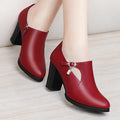 With all-match shoes 2021 spring new high-heeled shoes with thick women and middle-aged lady mother shoe leather shoes - melvincucci