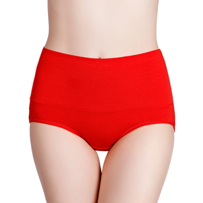 Women's high waisted underwear - melvincucci